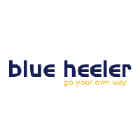 blue-heeler